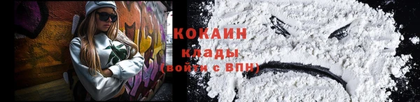 дживик Вязники