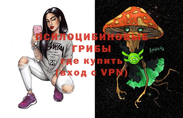 дживик Вязники