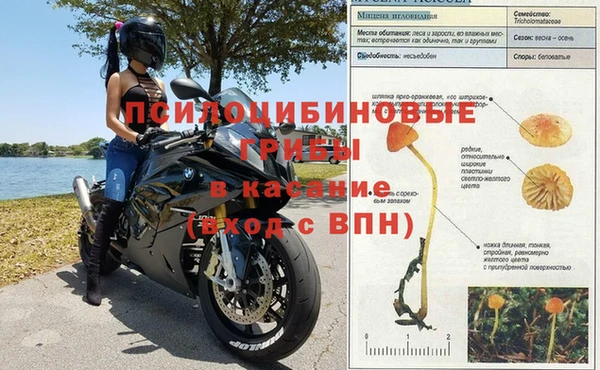 дживик Вязники