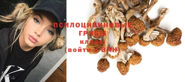 дживик Вязники